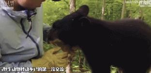 9.4分韩国催泪电视剧,韩国十部9.5评分催泪电影