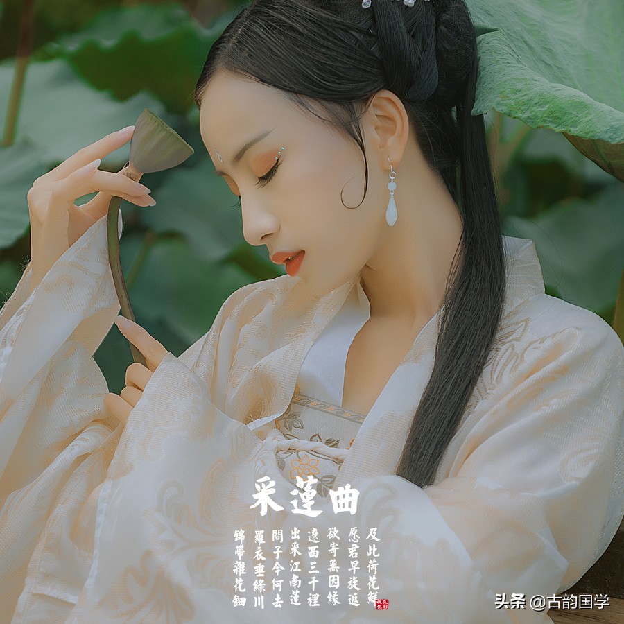 荷花诗经典100首,荷花诗词330首下篇