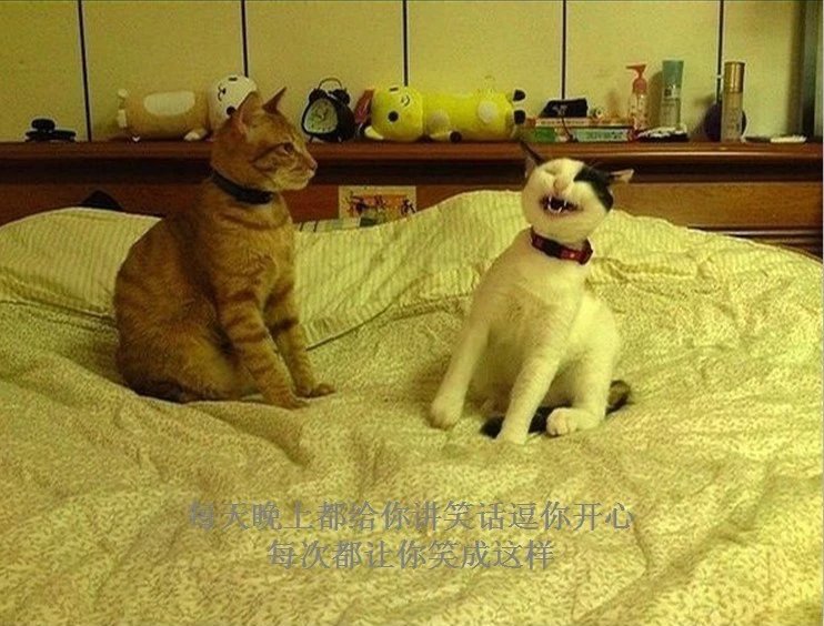 我只想说声爱你,只想再爱你一次