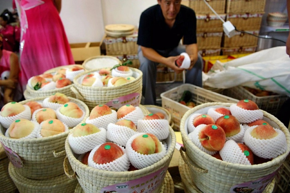 2022年农产品区域品牌价值排行榜,全国特色农产品区域公用品牌名单