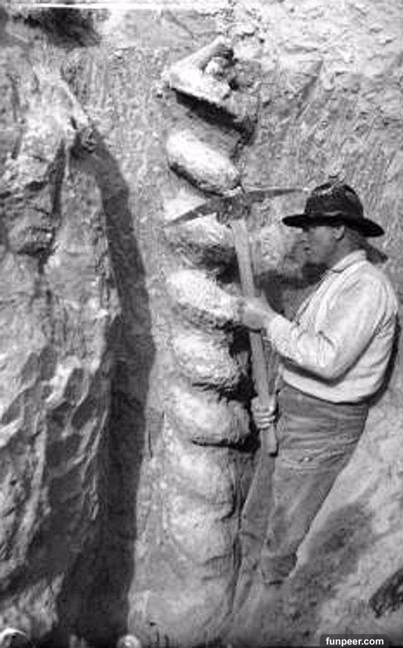 这种两米高的“魔鬼开瓶器”，是谁在几十万年前造出来的？