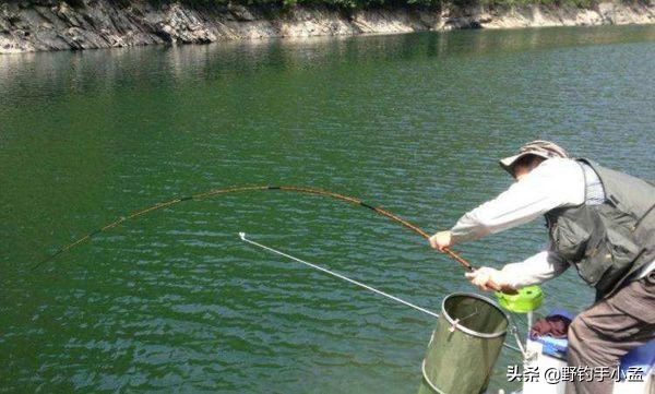 野钓遇到大鱼如何溜鱼,野钓中大鱼怎么处理