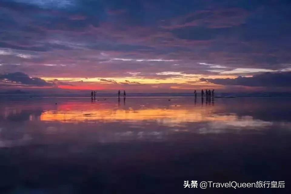 动物森友会无人岛一天可以去几次,动物森友会所有虫类图鉴