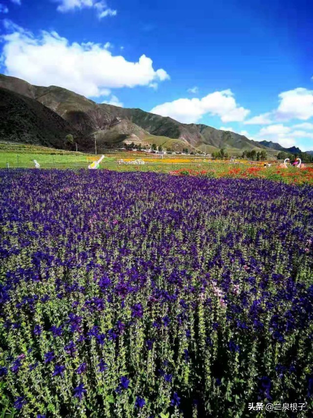 夏河县达尔宗湖景区电话,夏河县达尔宗湖游玩攻略