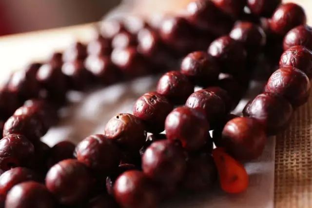 凤眼菩提的眼睛,尼泊尔凤眼菩提眼睛都是凸起来的