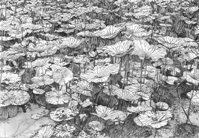 素描陈奕迅,陈奕迅素描