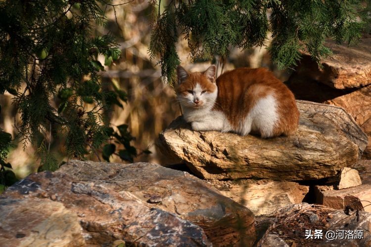 巩义最美乡村,巩义最美乡村游玩好去处