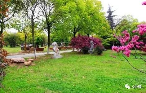 牵一发动全身!没法佛系的区域又出一规划!百万大盘也要来抢客