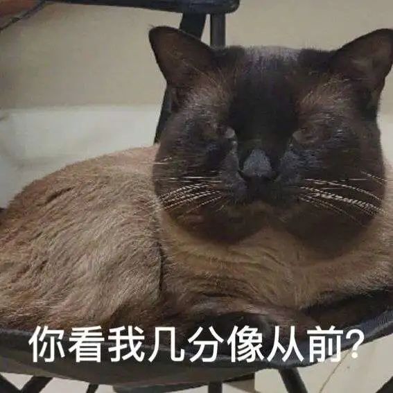 煤老板爆红完整版,煤老板ins