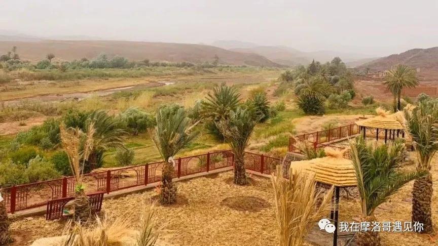 疫情之下写在摩洛哥撒哈拉的滞留日记-（持续更新）