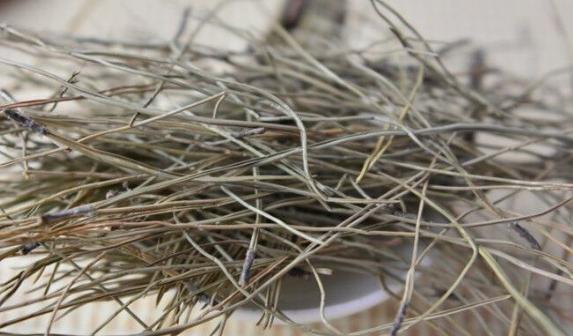 干松针可以垫盆底养花吗,养花干松针好还是鲜松针好