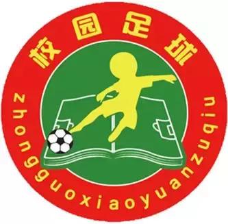 齐达内最后一球,齐达内现身迈阿密