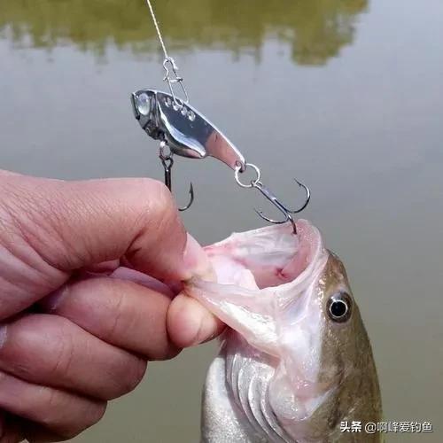 路亚让人痴迷,路亚让人心如止水