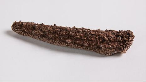 颜颐坊,颜颐坊海参功效