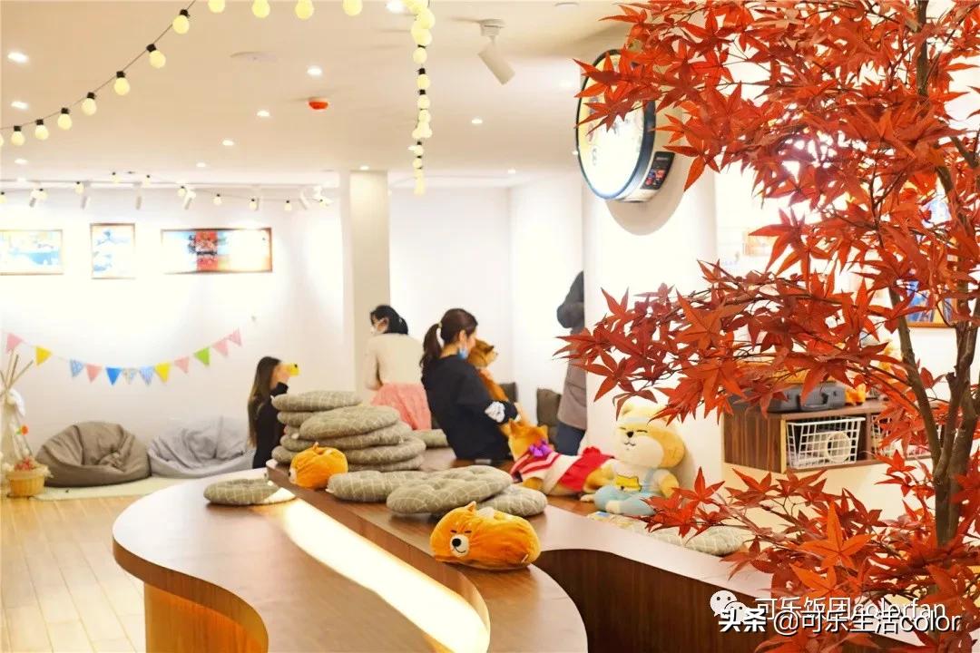 广州撸柴胜地！仲有怀旧零食、游戏室激萌柴犬周边