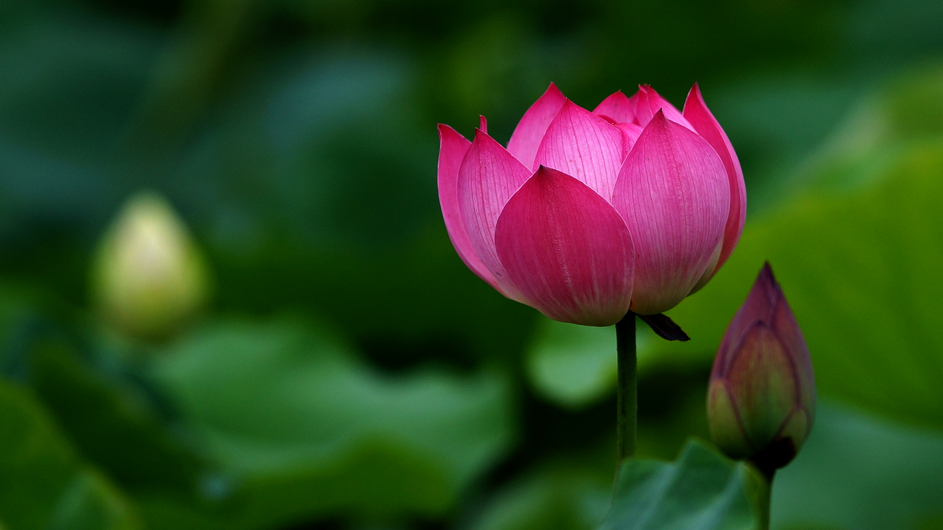 南怀瑾人生最高境界,南怀瑾悟道的十种境界