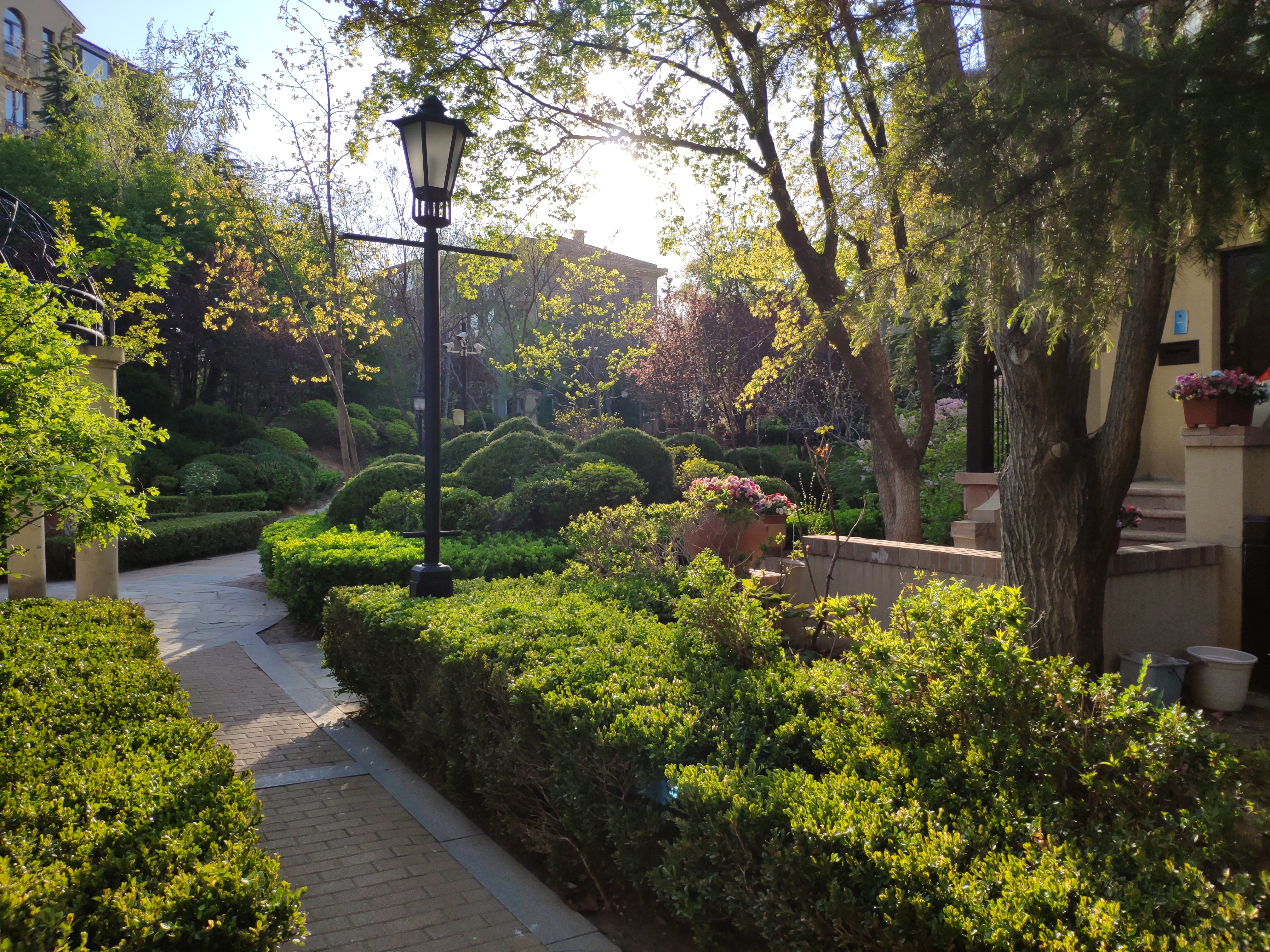 大连格致中学也需要学区房吗,大连格致小学学区房房价