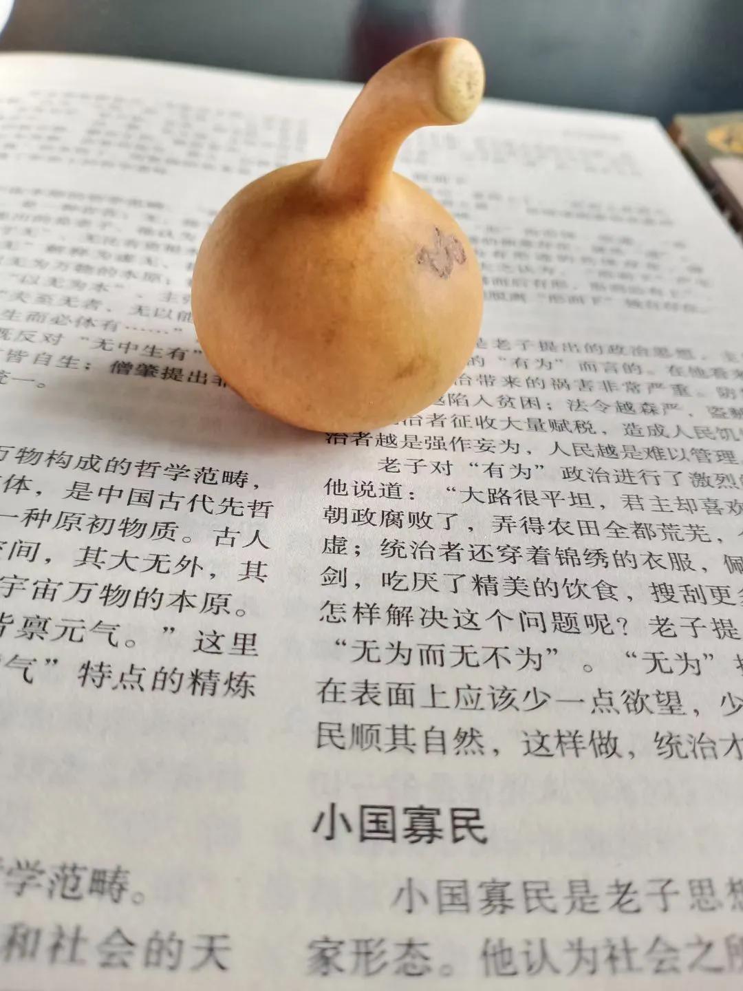 葫芦虽小藏天地，伴我云云万里身