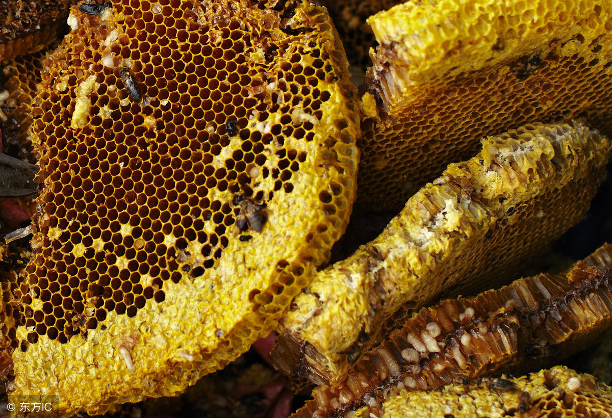 蜂蜜价格低一定是假蜜吗,市场上的蜂蜜怎么辨别真假