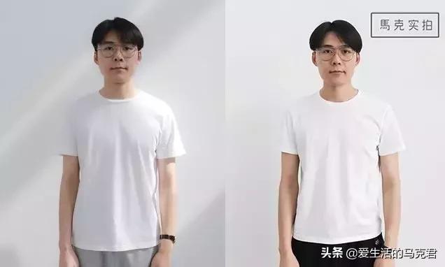 秋冬白t打底推荐,秋冬打底白t测评