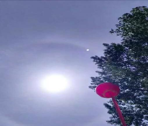 原创：张胜利：混世主义人生哲学要不得