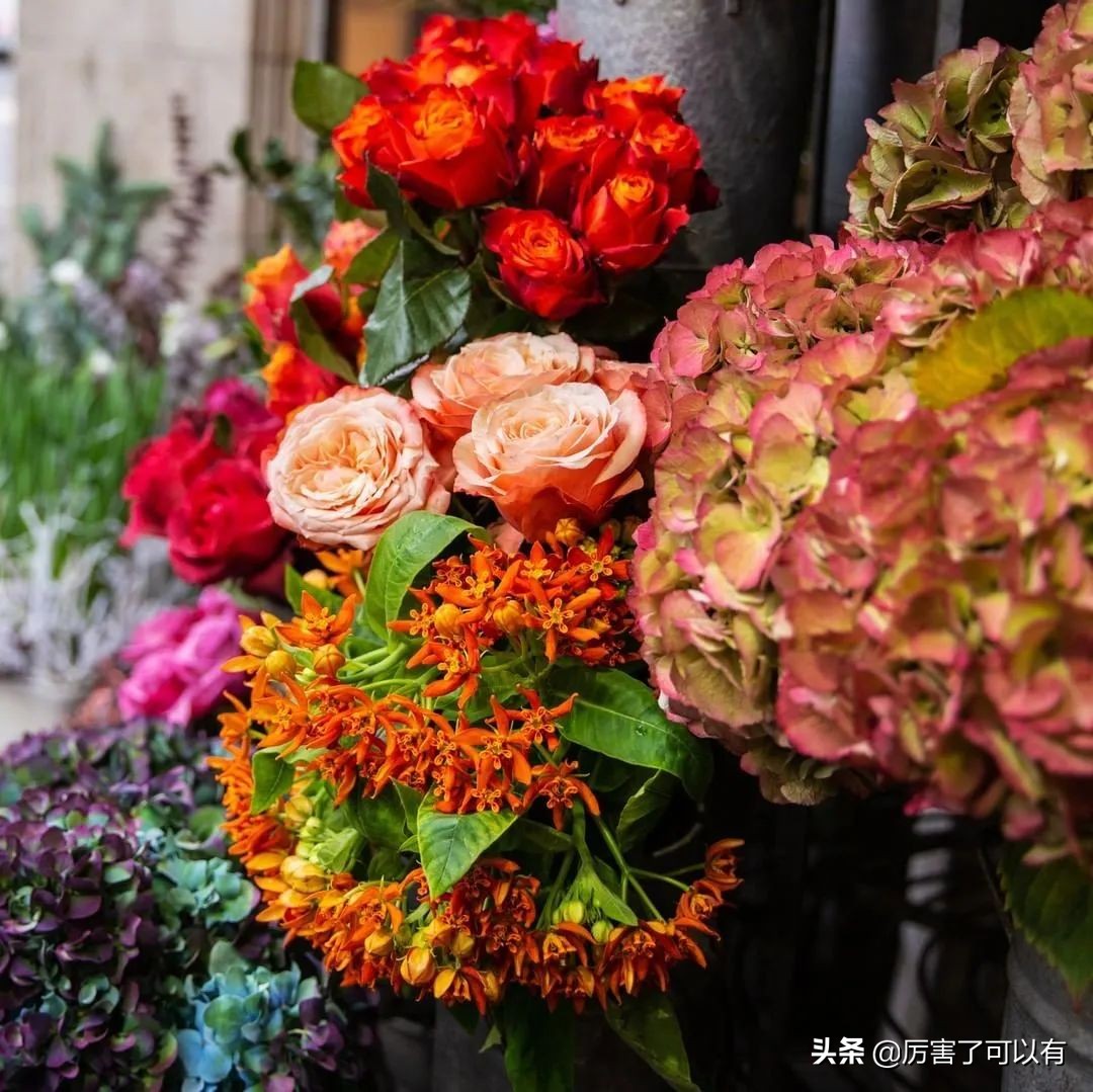 libertylondon圣诞礼盒,libertylondon品牌