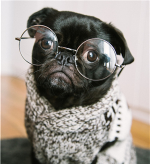 做ppt突然死机怎么保存,做ppt特别卡怎么办