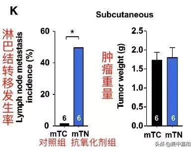 维生素e导致肿瘤,维生素e会影响乳腺增生吗