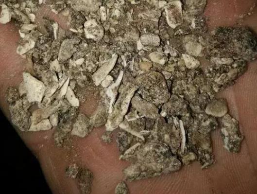 猪骨头熬汤能浇花吗,熬酥的猪骨能当肥料吗