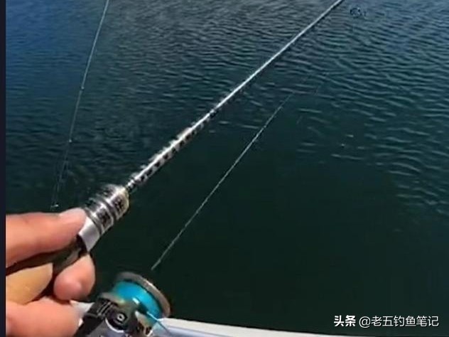 海竿中鱼率最高的野钓方法,远可攻近可守的计谋
