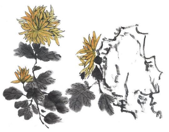 写意花鸟画技法菊,写意菊的画法教程