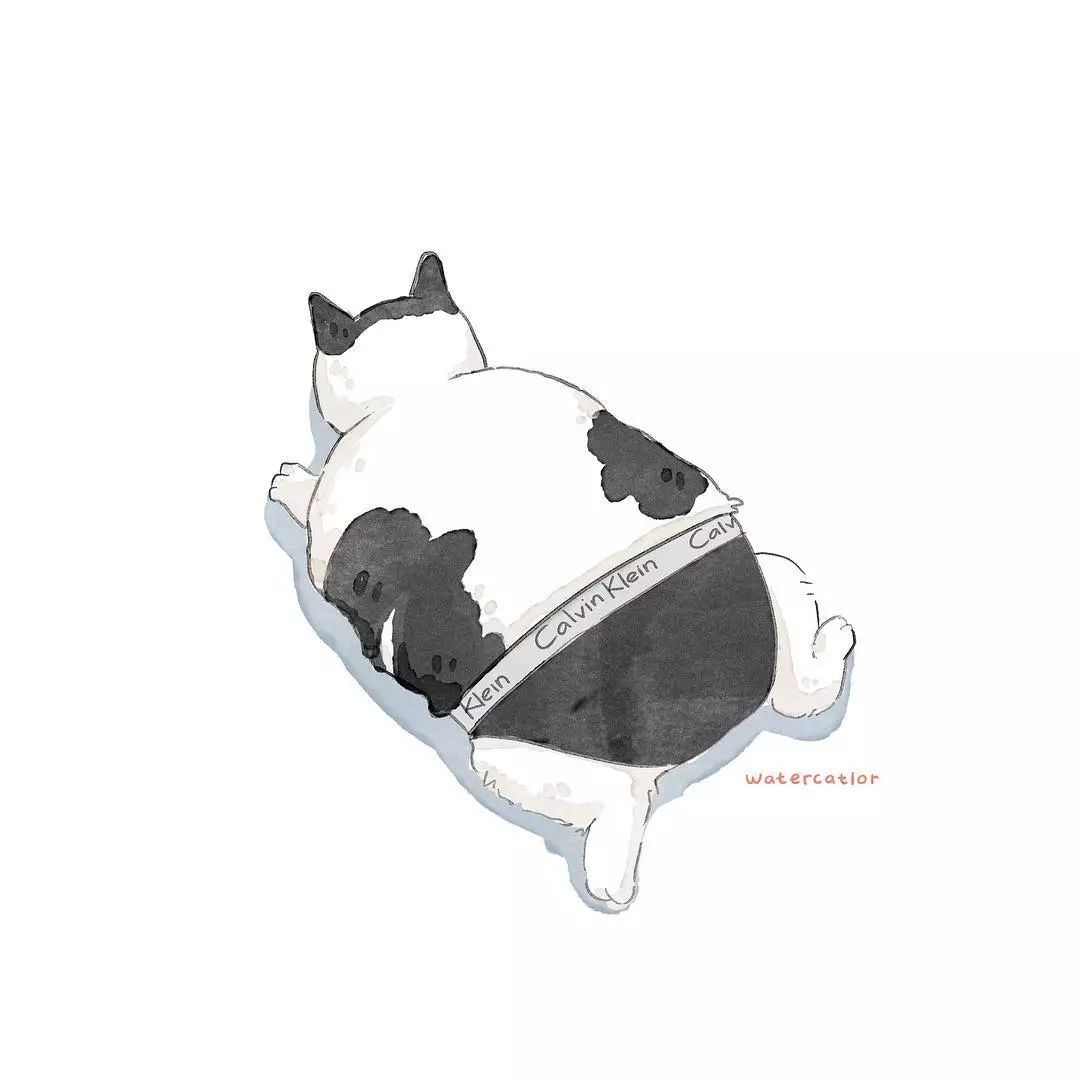 猫是液体的证据找到了吗,猫难道真的是液体吗