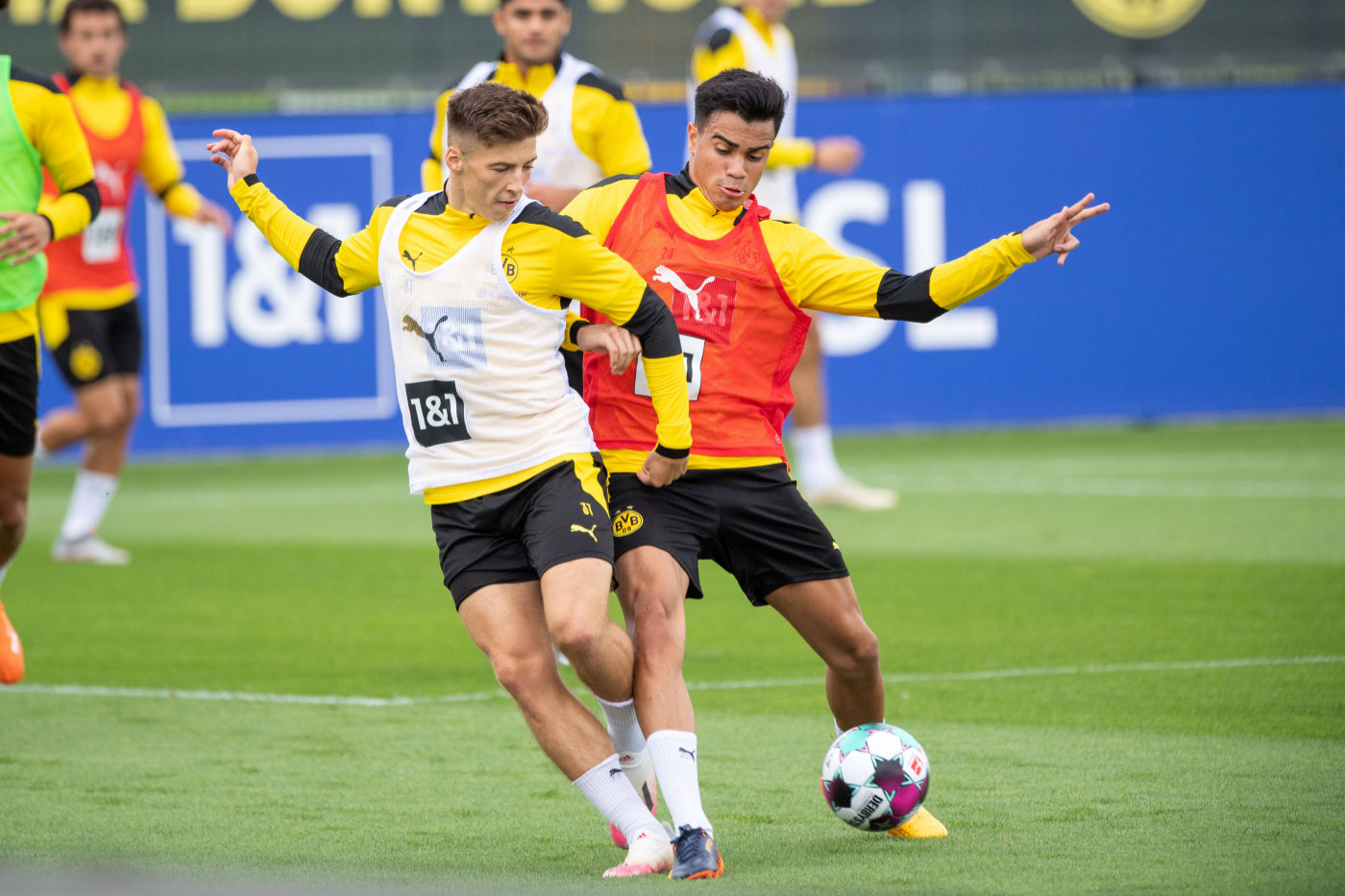 来了！“新卡卡”空降“黄黑幼儿园”