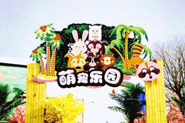 白鹿仓欢迎大家来白鹿仓观看直播,白鹿仓冰雪海洋旅游