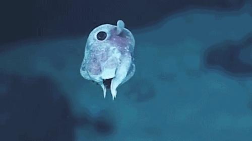 开课啦相关视频,开课啦完整版