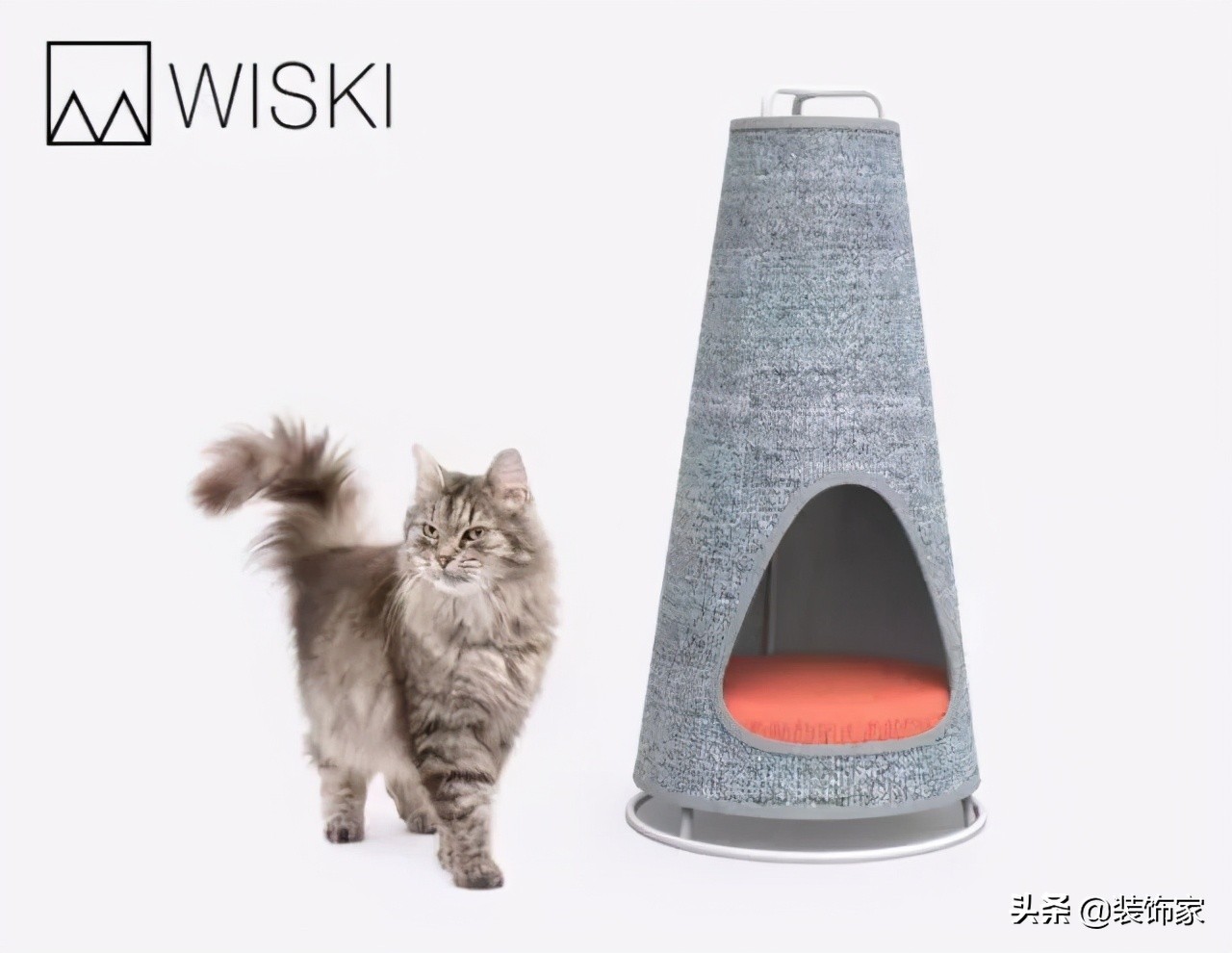 铲屎官最爱的客厅方案,铲屎官最满意的卧室装饰