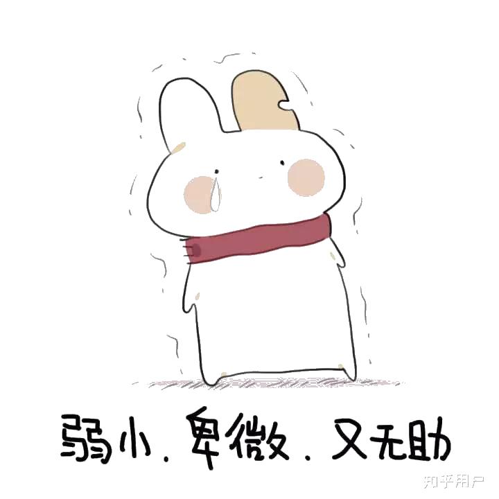 学生宿舍易发盗窃主观原因,女大学生盗窃宿舍