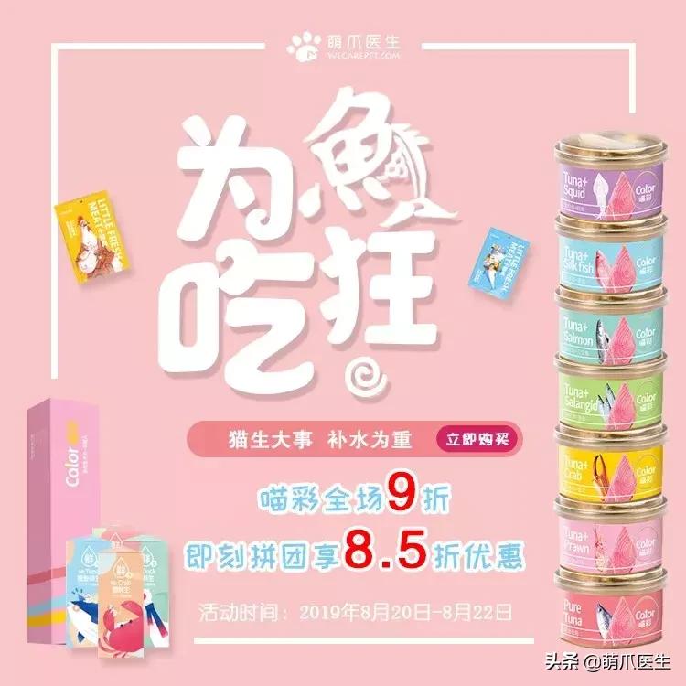 怎样让猫咪喝水才正确,猫咪进厕所喝水