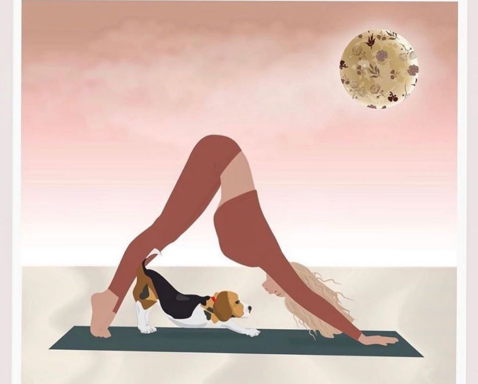 保护子宫和卵巢的瑜伽,瑜伽对子宫卵巢有好处的动作