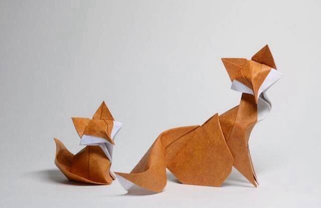 关于动物的作文优美段落摘抄,描写动物的好段落摘抄60个字