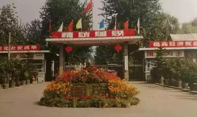 100年前石家庄地图,10年的石家庄照片