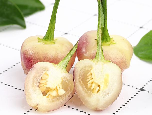 七彩盆栽迷你小辣椒,小辣椒迷你