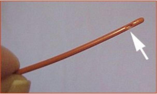 幼猫胃管使用方法,庄园猫宫