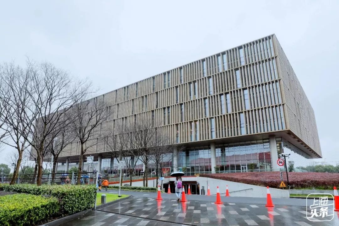 上海宋城免费景点,上海一日游攻略必去景点免费