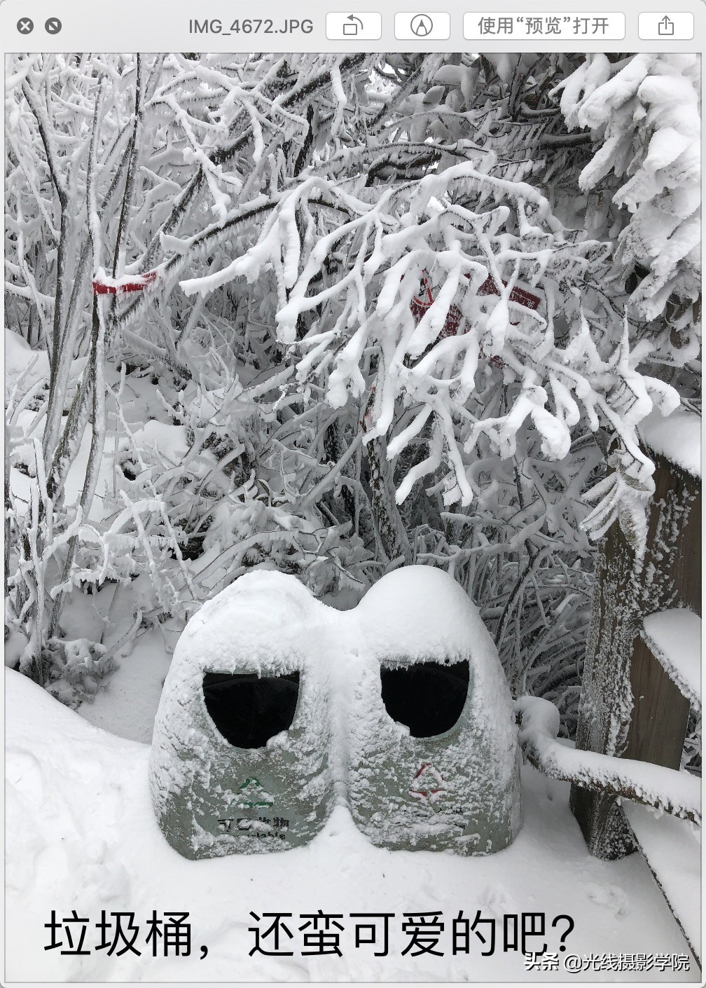 重庆金佛山冬季风景,重庆市金佛山旅游景区在下雪吗