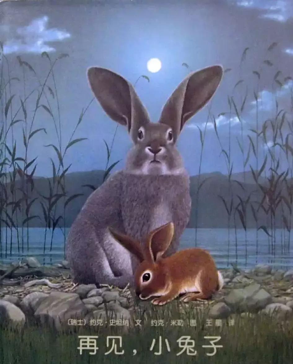 绘本中被忽略的价值,那些不知道的梗