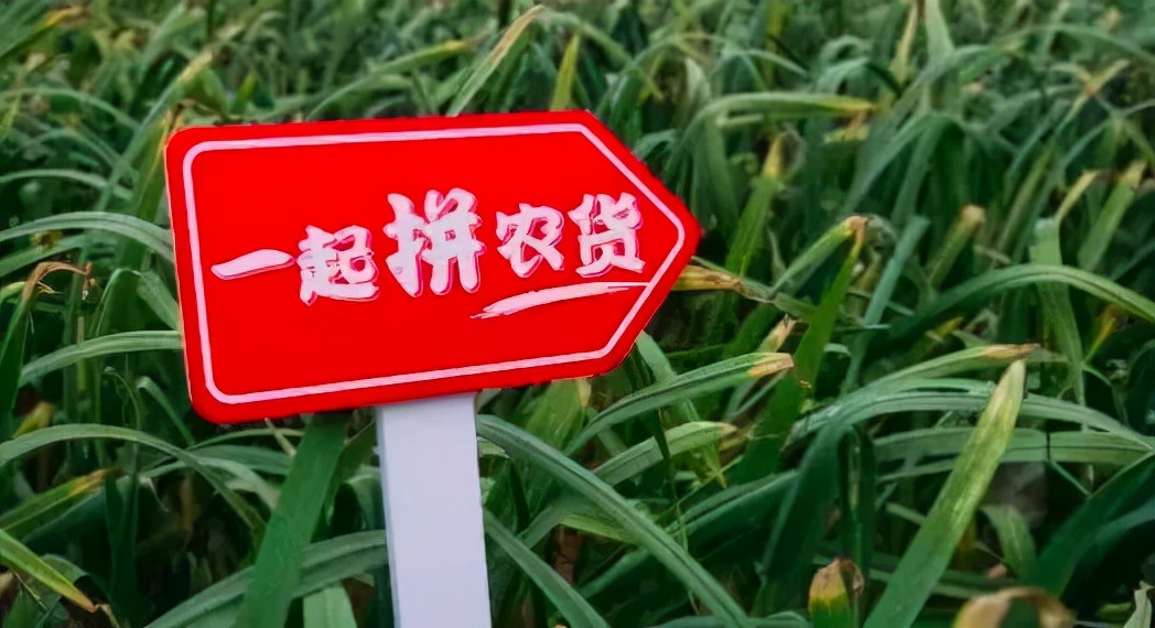 “围猎”兴盛优选，拼美淘三分天下