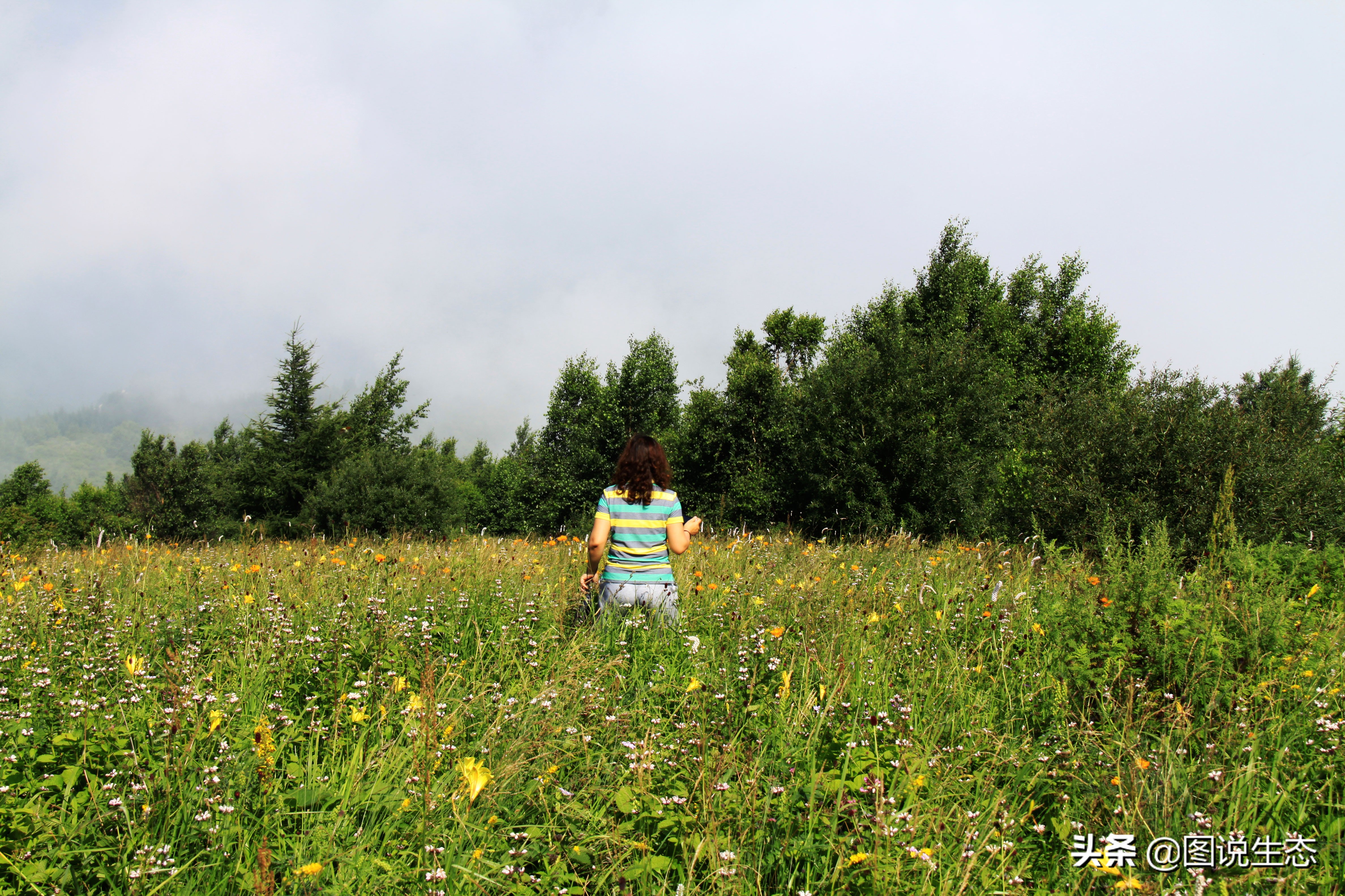 龙泉关风景区,阜平龙泉关自然村落