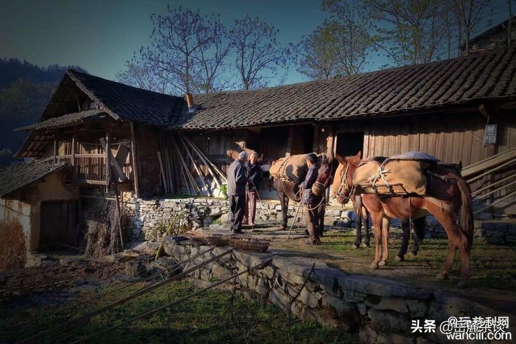 湖南慈利县三合镇牧羊冲茶马古道罕见的古旧茶具探秘