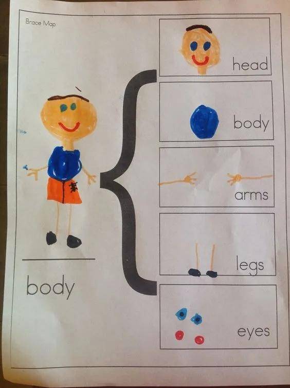 思维导图速记学霸秘籍,各种学霸整理好的思维导图